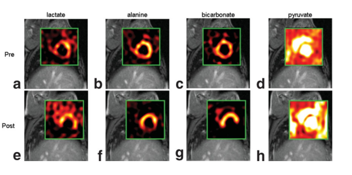 fig_1