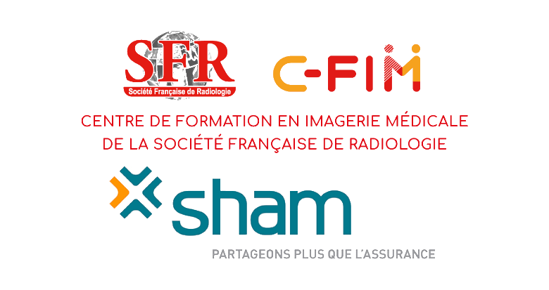 Logos SFR CGIM SHAM