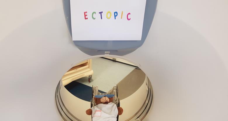 Photo ECTOPIC